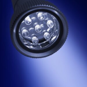 Giraffe Spot Flashlight