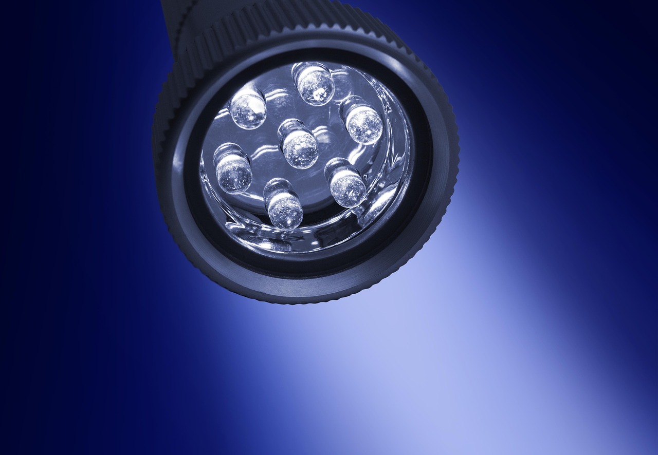 Giraffe Spot Flashlight